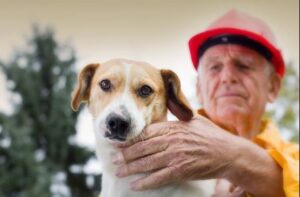 pet fire safety tips