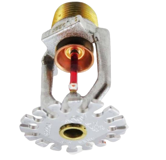 Tyco 775719175, Tyco (775719175) Spk ty-b pd 1/2″ k80 79c chr sr.